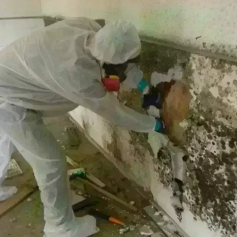 Mold Remediation and Removal in Pawtucket, RI